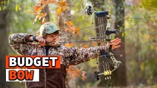 Top 10 Best Budget Bow On Amazon 2025