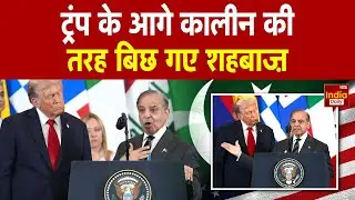 Shehbaz Praises Trump | Pakistan | PM Modi | Gaza Peace Plan | Meloni | Israel Hamas Ceasefire