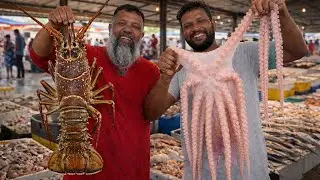 රට වටේම මාළු ගනන් උනාට මීගමුවේ මාළු ගාන කොහොමද | Negombo Fresh Seafood #fishingvideo #fishinglife 