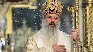 Psaltirea Înaltpreasfințitul Teofan