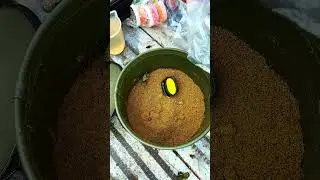 Soggy groundbait/ pellet quick fix #methodfeeder #fishing #wędkarstwo #carpfishing #feederfishing
