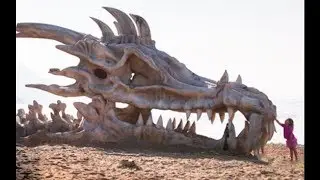 Weird Looking Animals Photo Compilation
