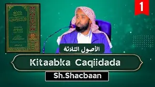 Урок 1. Книга трёх принципов Ш. Шакбана
