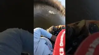 What&rsquo;s the best place to catch snakehead in New Jersey? #bigtimbercreek #salemcanal