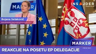Selaković o reakciji vlasti na posetu delegacije EP: Strategija pravljenja šumova i zamena teza