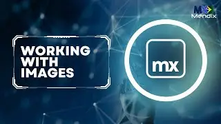 [ENGLISH] LEARN HOW TO WORK WITH IMAGES IN MENDIX 10