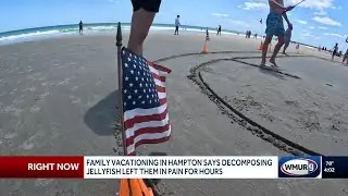 Decomposing jellyfish in Hampton left swimmers in pain for hours, family says