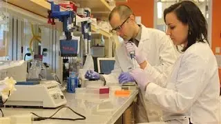 Could DNA Be the Future of Digital Storage?