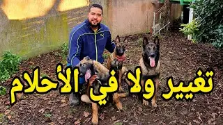 شوف التغيير الخرافي للمالينوا العنيد( باكو ) لي كان باغي يعضني