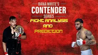 Contender Series: Рафаэль Перхентино против Люка Фернандеса: анализ и прогноз (неделя 9)