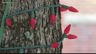 'We're getting up around a million lights': Macon Christmas Light Extravaganza returning to downtown
