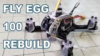 MD#119 🚁 LDARC FLY EGG 100 Восстановление 🏁🛠️👍