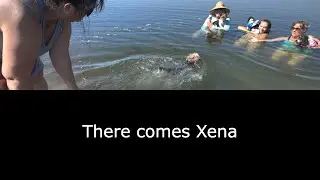 Dogs Swimming at The Pools | Hayden Island Portland OR | Scooby, Zoe, Charlie & Xena | Labor Day Fun