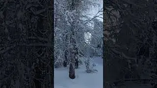 #finland #temperature #ice #europe #freeze#shorts