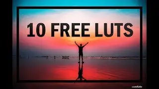 FREE LUT Pack | 10 Free Cinematic LUTs 2019