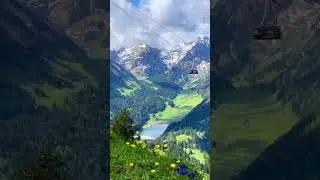 flute 🎼 #relaxing music #flute #love #music #peace #flutemusic #morningflutemusic #fluteyoga