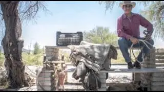 Jaime Rodr&iacute;guez El Bronco corrido musical en versi&oacute;n pop