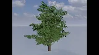 Blauglockenbaum Sommer LOD2 30000mm