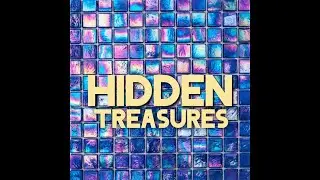 HIDDEN TREASURES - Episode 6 .. Book Store Shopping!