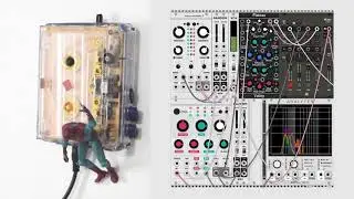 MOOD SWING | HYBRID SETUP : TAPE LOOPS ON WALKMAN MOD PROCESSED TO MODULAR SYNTHESIS IN VCV RACK