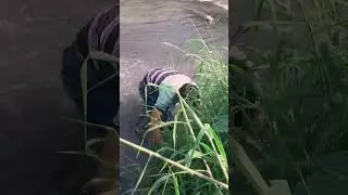 Primitive life, Simple life, Food Life, EP04,#fypage,#catchingfish, #fishing,#handfishing,