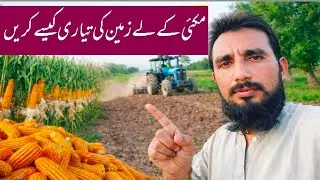 Maki ke Kasht in Pakistan 2026 ll Maki ke Kasht keleya Zameen ke tayari 