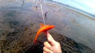 Nagsubok ulit Kami Mamana Kasama ang mga Tropa at Solid Subscriber
