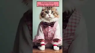 Cute cats in clothes! #shorts #cat #AI #art #cool #design #ideas #cats #cute #clothes #funny