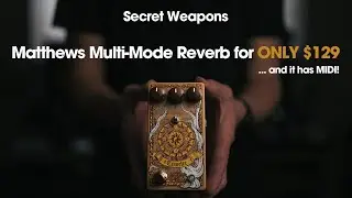 An ALL IN ONE Reverb for $129!? - Matthews Effects Traveler | Secret Weapons Demo & Review