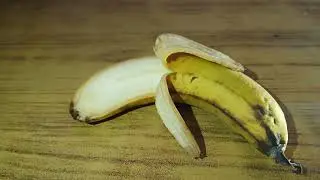Just a banana (stopanimation video)#animation #stopmotion