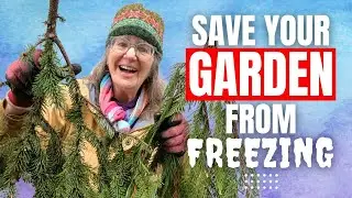 Protect Your Plants from Snow, Wind, Cold -- 7 Winter Garden Tips!