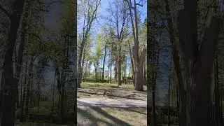 Саулкрасты, Белая Дюна, 