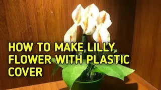 How to make Lilly flower with plastic bag.