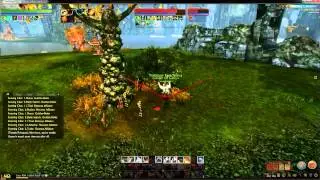 Run Forest! Run!!!