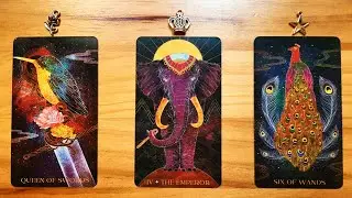 THE TIME HAS FINALLY COME FOR THIS SECRET TO BE REVEALED TO YOU! 🌸👑🦚 | Pick a Card Tarot Reading