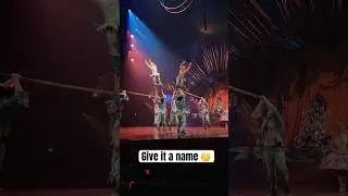 Acrobats Show Absolute Teamwork and Trust!