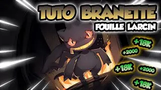 Tuto FR branette argent rapide PokeMMO ! Traduis en européen ?… 