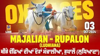 🔴[Live] Manjalian Rupalon | Ludhiana | ਖੀਰੇ ਵੱਛਿਆਂ ਦੀਆਂ ਦੌੜਾਂ | बैलगाड़ी दौड़ | Ox Race | 3 Oct 2024