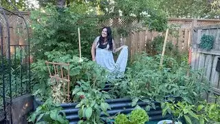  Zero Dollars? No Problem &ndash; Start a Homestead Side Hustle Today