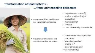 Governance of food system transformation - lecture by Chris B&eacute;n&eacute;