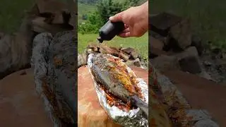 Cooking Fish Inside a Box?! 🔥 #food #viralvideo #shorts #outdoorcooking #fish