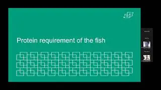 How do we feed our salmon to meet the protein requirement? Prof. Margareth OVERLAND