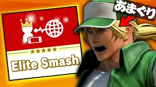I Fought a JAPANESE Terry on Elite Smash