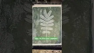GELLI PLATE LEAF IMPRINT! #gelliarts #gelliprinting #gelliplate #shorts #artshorts #leafart