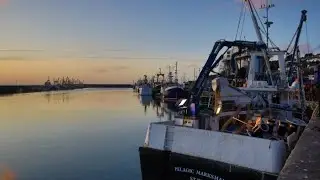 The UK moving forward as an independent coastal state - NFFO Chief Barrie Deas