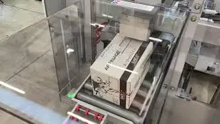 TGM CP02 Automatic Horizontal Case Packer - Adelphi