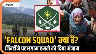 Pahalgam terror Attack को अंजाम देने वाला TRF और Falcon Squad क्या है?