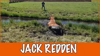 JACK IN DE SLOOT GEVALLEN | PaardenpraatTV