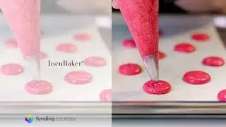 IncuBaker - FS Featured SME