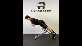 Roman Chair Extension - erector spinae strengthening exercise for the low back